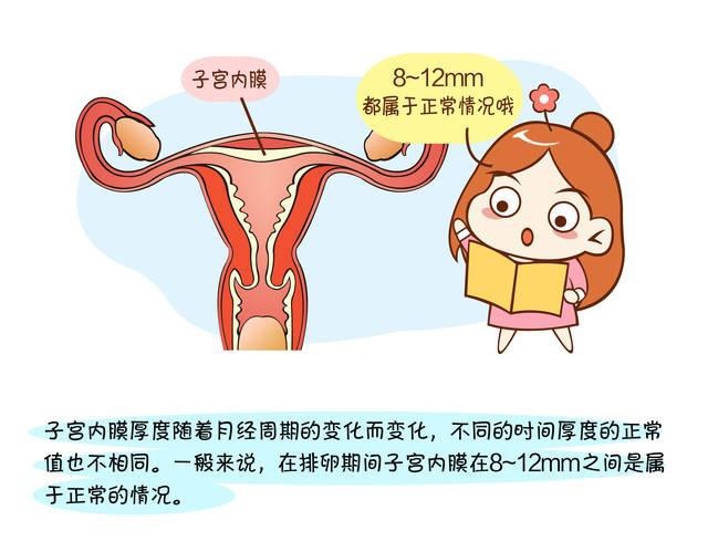 女性健康管理|子宫内膜多厚才是正常的？这4个调理方法可以让过薄的子宫内膜厚起来