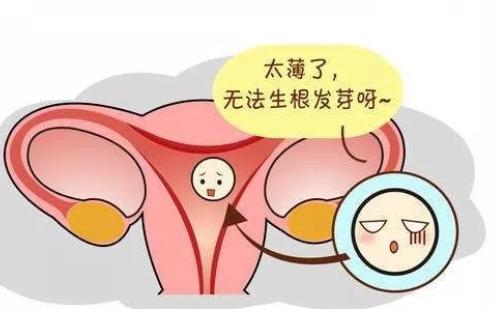 女性健康管理|子宫内膜多厚才是正常的？这4个调理方法可以让过薄的子宫内膜厚起来 - 深圳运世达心成诊所