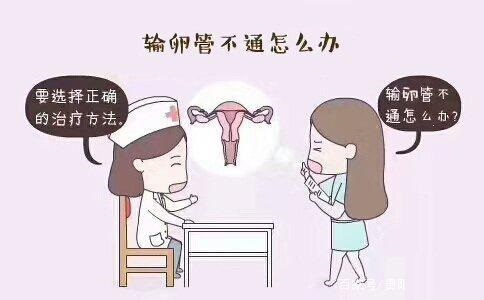 输卵管问题会对女性生育造成哪些影响？保护输卵管要注意这4点！- 深圳运世达心成诊所