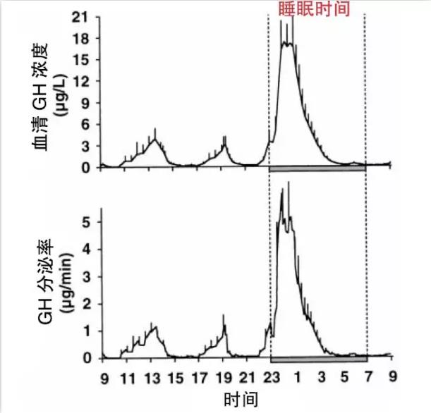 儿童身高管理科普|关于生长激素激发试验最全的总结！- 深圳运世达心成诊所