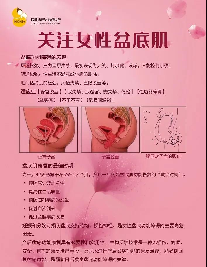 女性健康管理|女性骨盆歪斜会引发哪些问题？如何保护骨盆健康？- 深圳运世达心成诊所