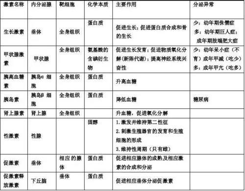 儿童身高管理|内分泌、激素与儿童生长发育的关系 - 深圳运世达心成诊所